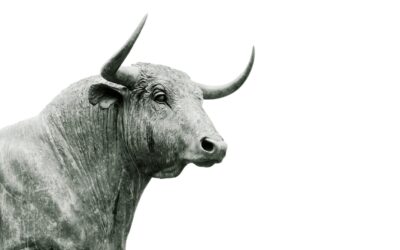 Bull Nose Tile: A Complete Guide for Homeowners