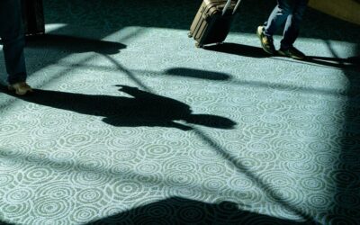Carpet and Flooring Companies: How to Choose the Right One