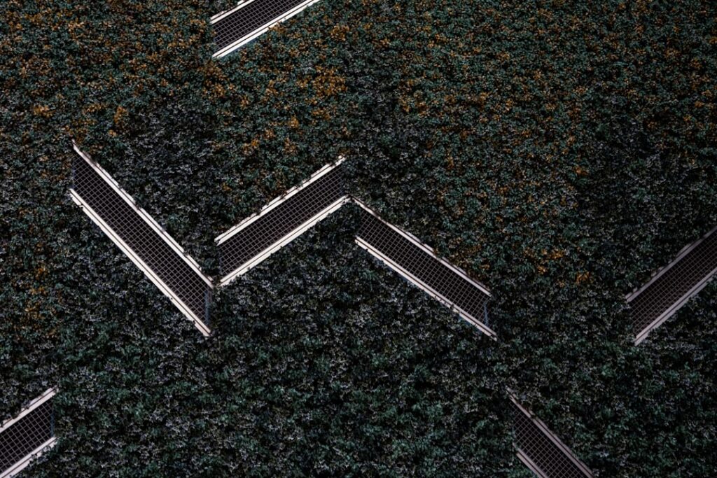 Carpet Blades: Complete Guide for Homeowners