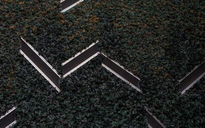 Carpet Blades: Complete Guide for Homeowners