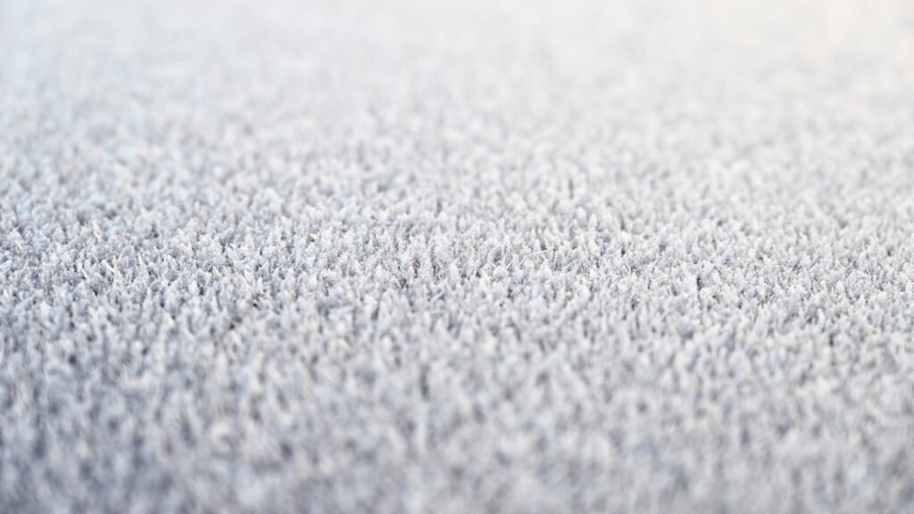 Carpet Cost Per Sq Ft: Average Prices and Budget Guide