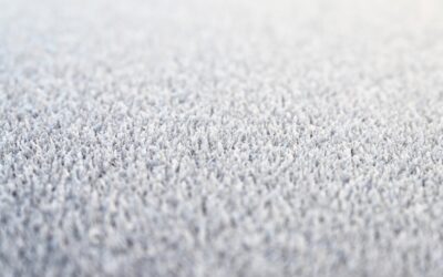 Carpet Cost Per Sq Ft: Average Prices and Budget Guide