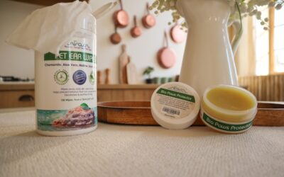 Carpet Deodorant: Complete Guide for Homeowners