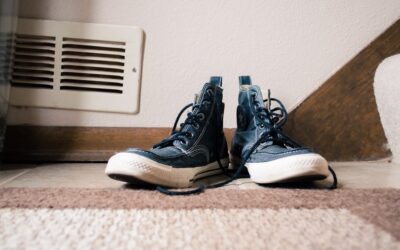Carpet Extractor with Heater: Complete Guide for Homeowners