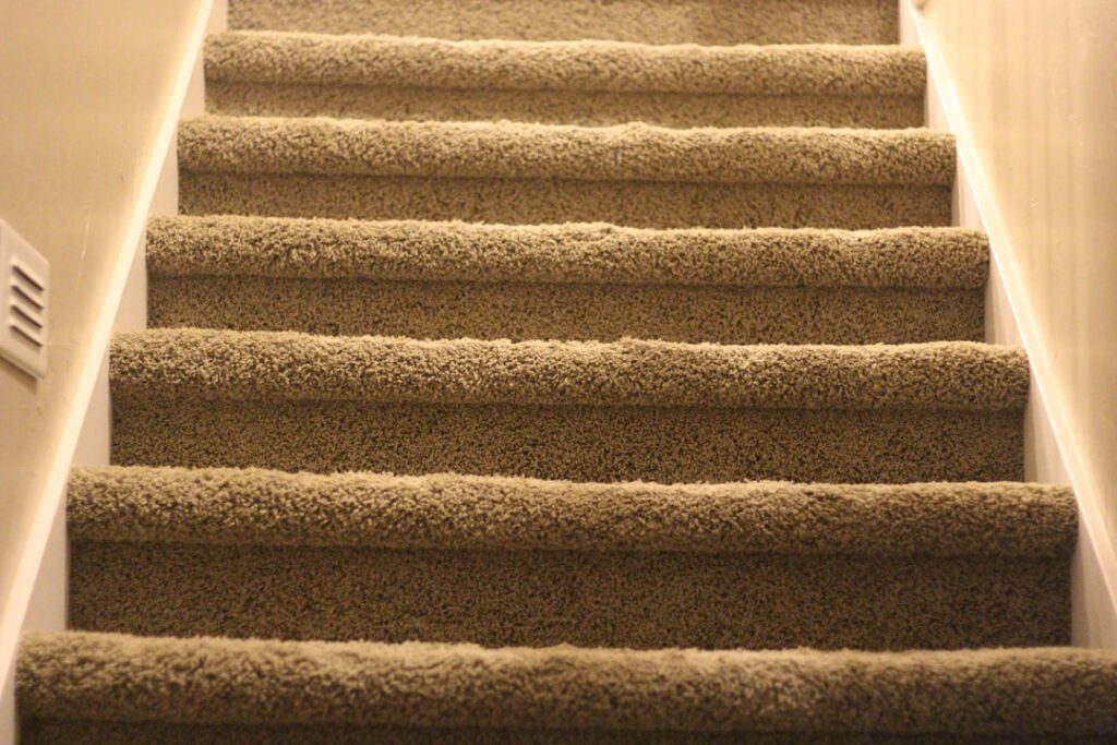 Carpet Treads: Complete Guide for Homeowners
