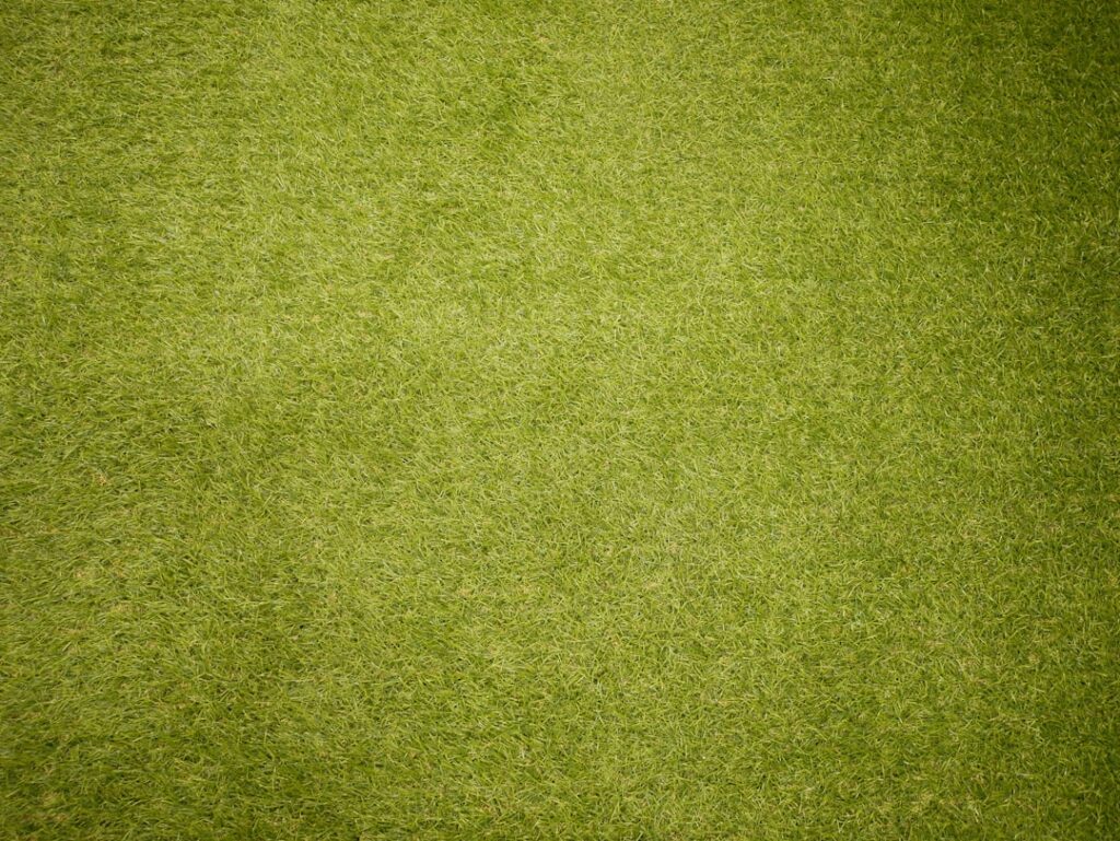 Carpet Vancouver: Choosing the Right Carpet for a Damp Climate