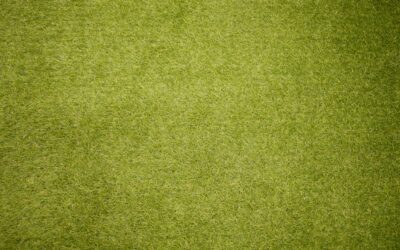 Carpet Vancouver: Choosing the Right Carpet for a Damp Climate