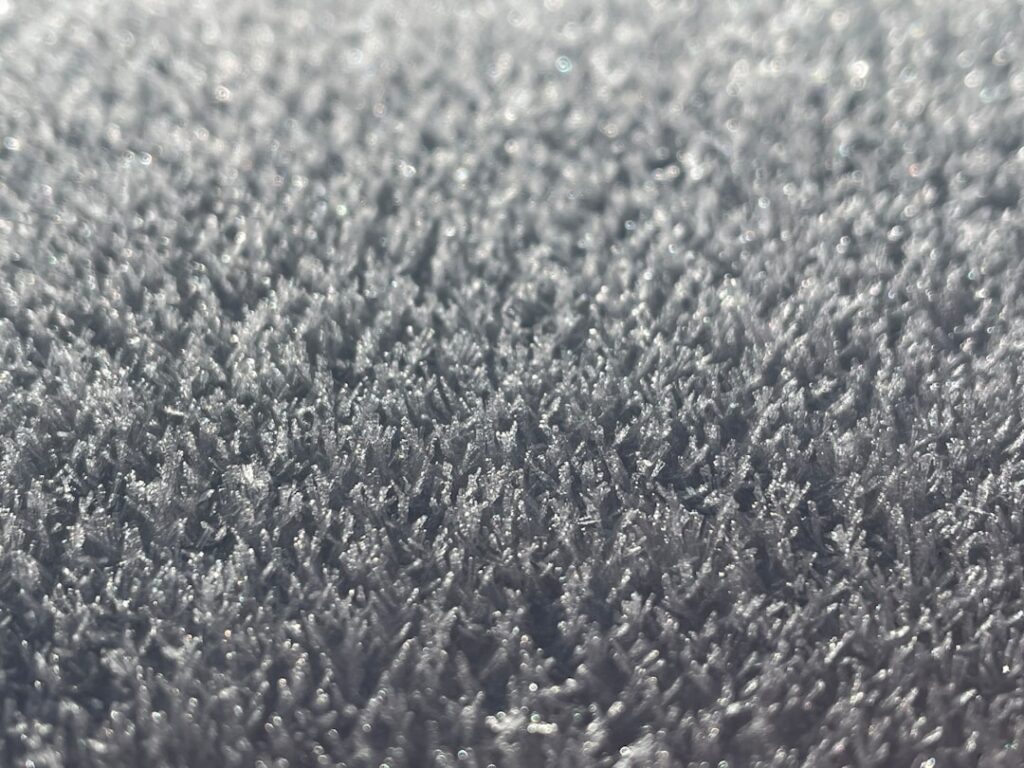 Carpet Widths: A Homeowner’s Guide to Standard Roll Sizes