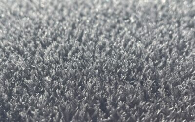 Carpet Widths: A Homeowner’s Guide to Standard Roll Sizes