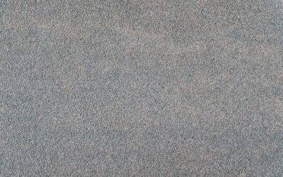 Carpeted: Complete Guide for Homeowners
