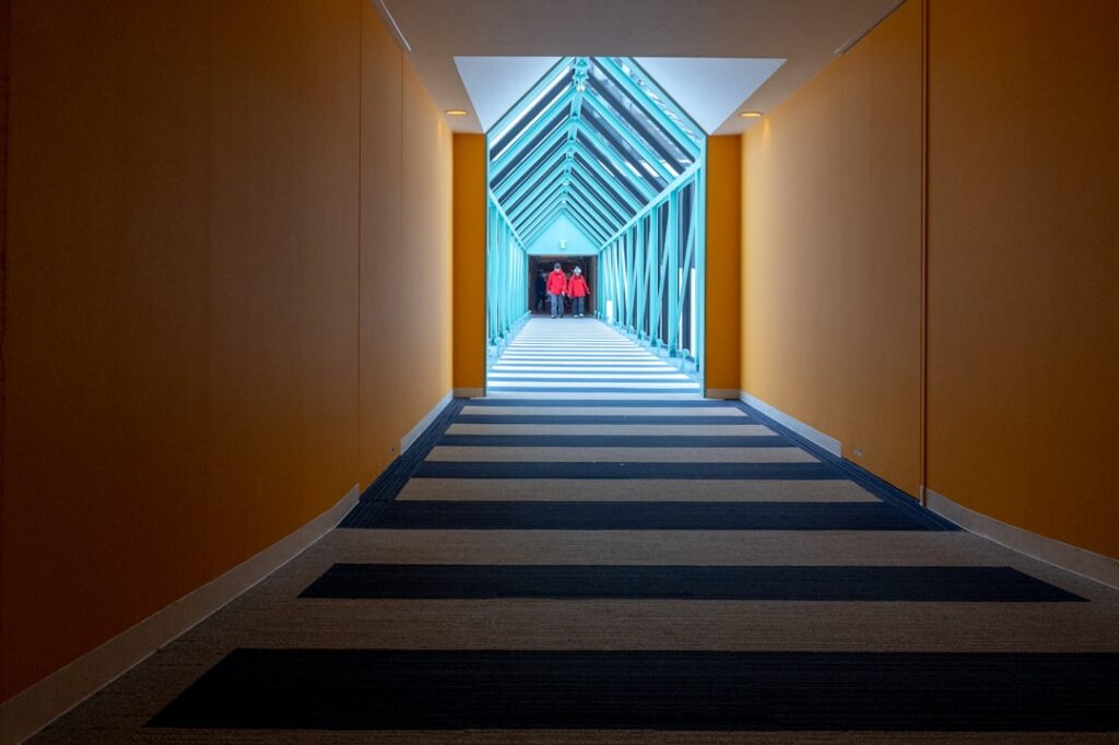 Ceiling Carpet: Complete Guide for Homeowners
