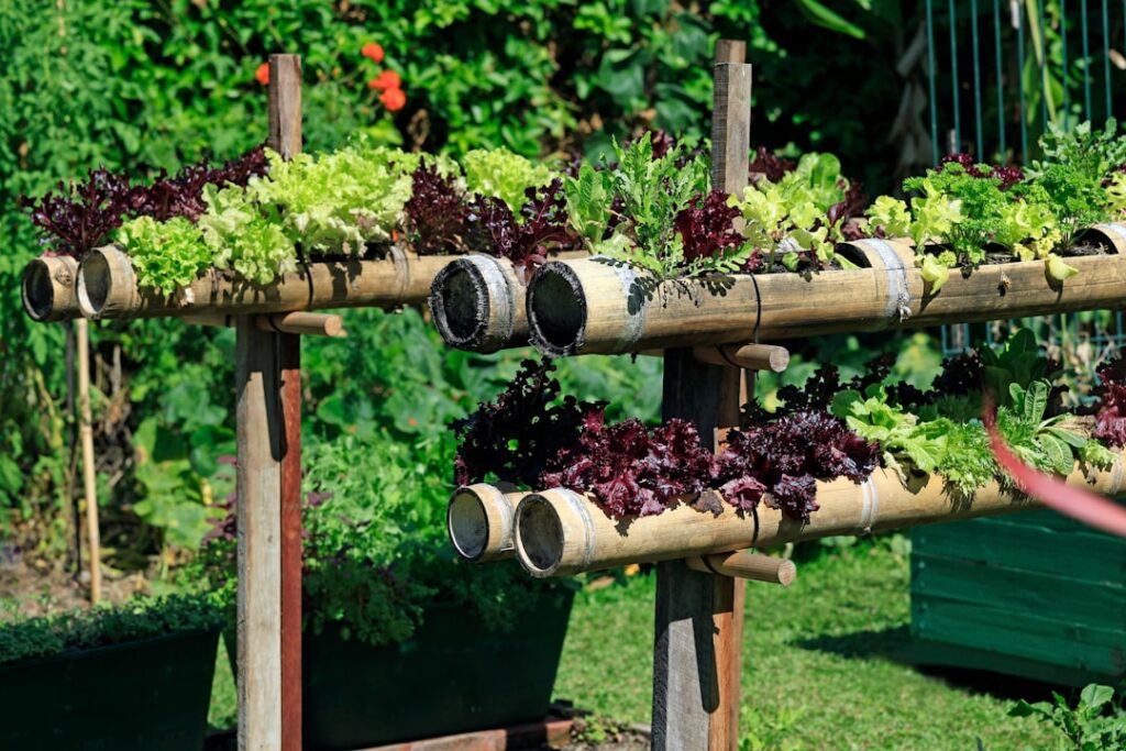 DIY Vertical Herb Garden: A Complete Build Guide