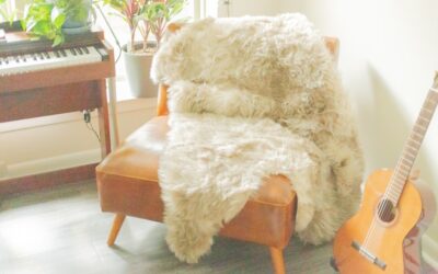 Faux Sheepskin Rug: A Complete Guide for Homeowners