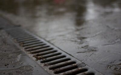 Floor Drain Grate: Complete Guide for Homeowners