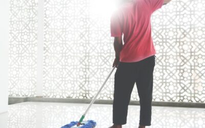 Floor Duster: Complete Guide for Homeowners