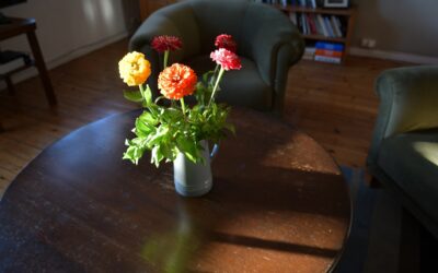 Floor Lounge Chair: Complete Guide for Homeowners
