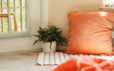 Floor Pillow: Complete Guide for Homeowners