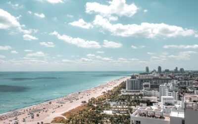 Flooring Stores Miami: Pros, Cons, and Buying Guide