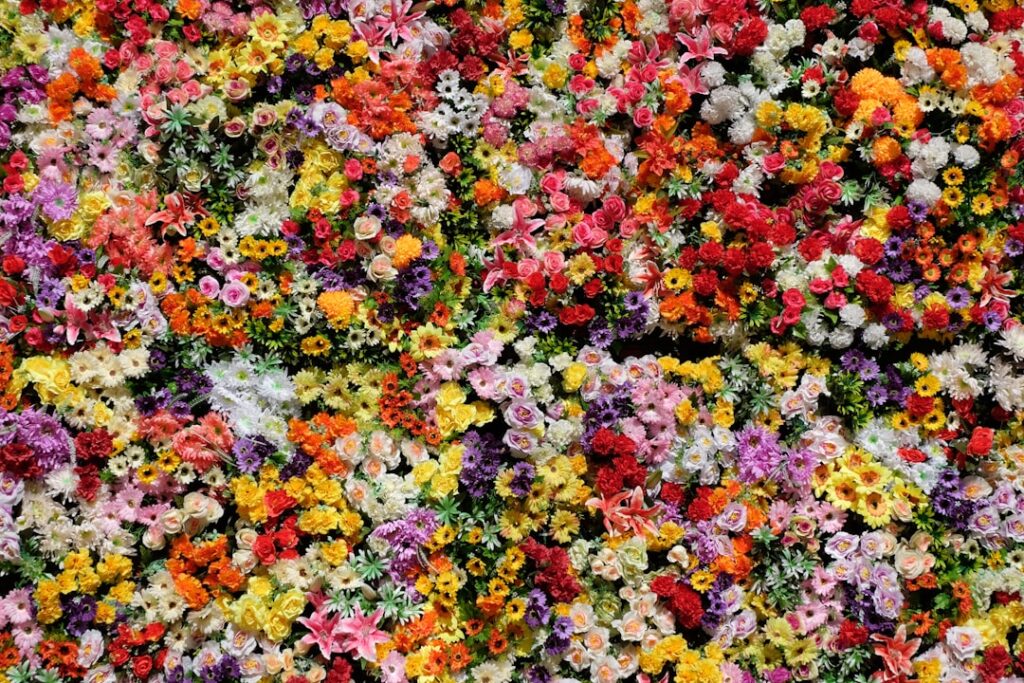 Floral Carpet: Complete Guide for Homeowners
