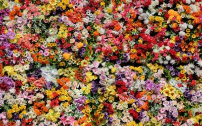Floral Carpet: Complete Guide for Homeowners