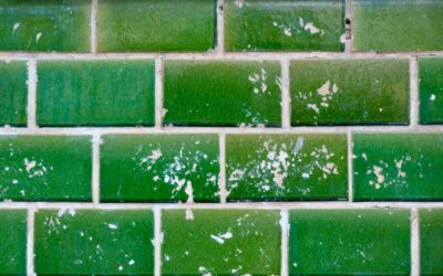 Green Wall Tile: Complete Guide for Homeowners