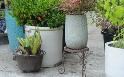 Heavy Duty Outdoor Metal Plant Stands: Complete Guide for Homeowners