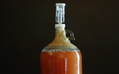 Homemade Gnat Trap Vinegar: Complete Guide for Homeowners