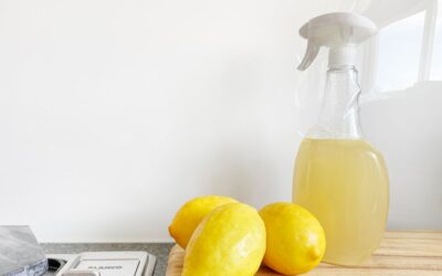 Homemade Stainless Steel Cleaner: Complete Guide for Homeowners
