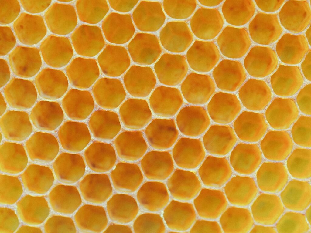 Honeycomb Tile: Complete Guide for Homeowners