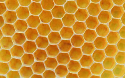 Honeycomb Tile: Complete Guide for Homeowners