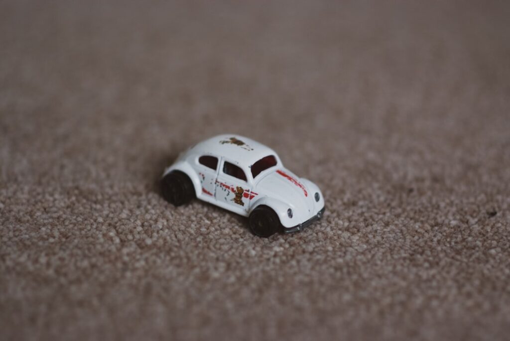 How to Get Rid of Carpet Beetles in Car: Easy DIY Methods