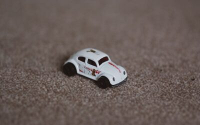 How to Get Rid of Carpet Beetles in Car: Easy DIY Methods