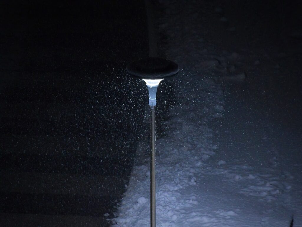 LED Solar Lights Outdoor: Complete Guide for Homeowners