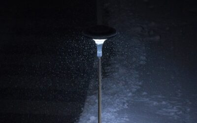 LED Solar Lights Outdoor: Complete Guide for Homeowners