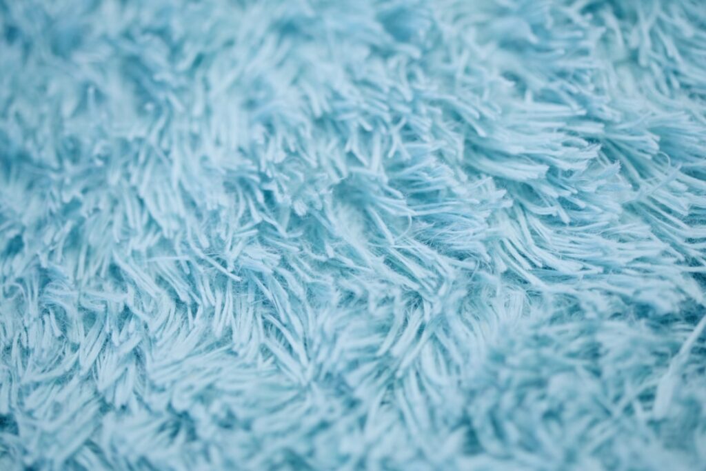 Light Blue Carpet: Complete Guide for Homeowners