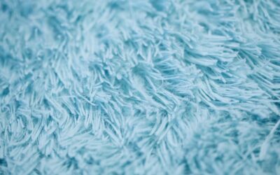 Light Blue Carpet: Complete Guide for Homeowners