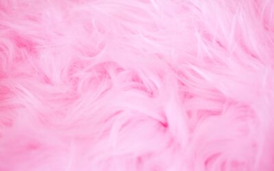 Light Pink Rug: Complete Guide for Homeowners