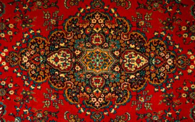 New Carpet: Complete Guide for Homeowners
