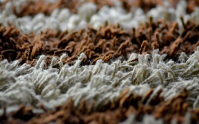 Ombre Rug: Complete Guide for Homeowners