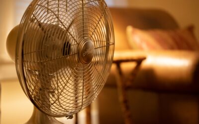 Oscillating Floor Fan: Complete Guide for Homeowners