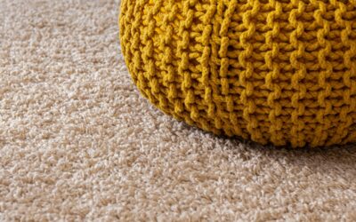 Pet Proof Carpet: Complete Guide for Homeowners