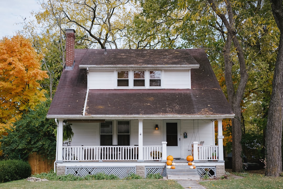 Renovating House: Complete Guide for Homeowners - D and G Flooring