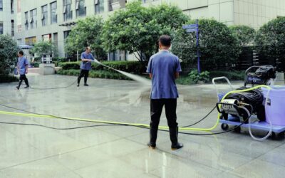 Rent Carpet Shampooer: Complete Guide for Homeowners