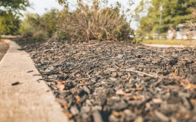 Rubber Mulch Delivery: A Complete Guide for Homeowners