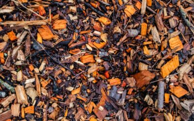 Rubber Mulch Wholesale: A Bulk Buying Guide