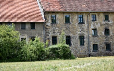 Sandstone Tile: Complete Guide for Homeowners