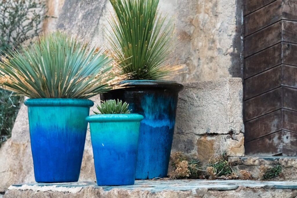 Tall Ceramic Planters: Complete Guide for Homeowners