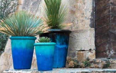 Tall Ceramic Planters: Complete Guide for Homeowners