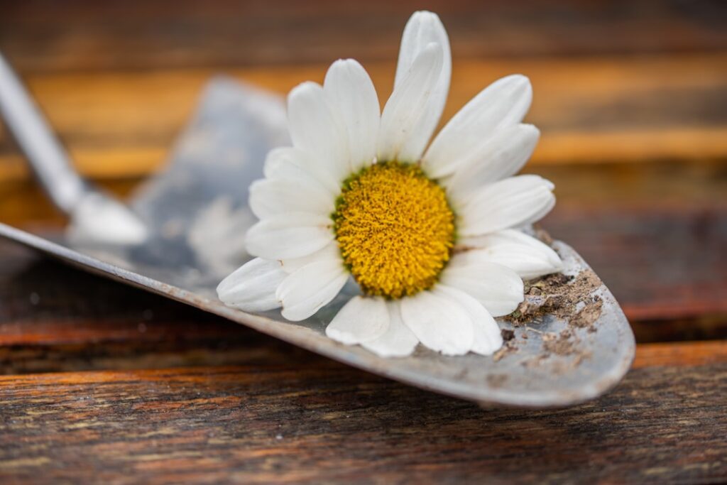 Tile Trowel: A Complete Guide for Homeowners