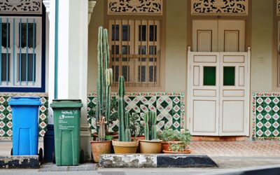 Tin Backsplash: A Complete Guide for Homeowners